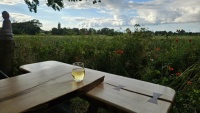 Stille aften