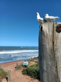 Middleton, South Australia