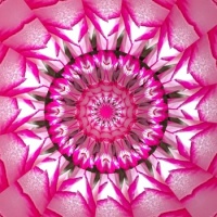 Kaleido
