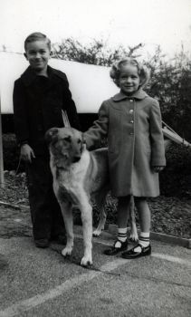 THEME: Pets: Ou wonderful dog Lassie (more than a few years ago!)
