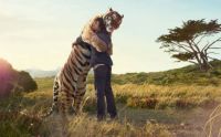 tiger hug