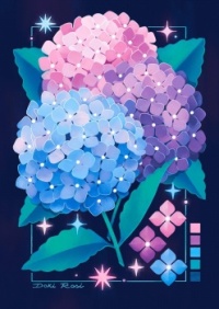 Hydrangeas