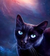 Astrocat