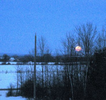 Winter Moon rising