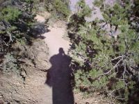 My Shadow