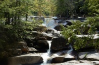 Spring Hike