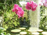 Italy gardens
