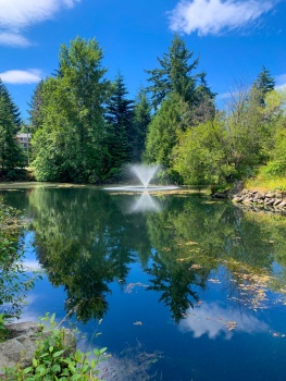 Solve Ida-Ann Lake in Victoria BC jigsaw puzzle online with 130 pieces