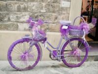 Purple Bicycle of Florence
