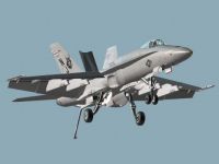 F18 HORNET