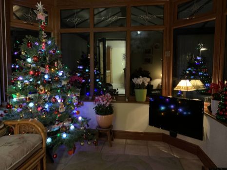 christmas in conservatory