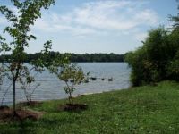 The lake