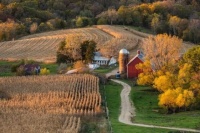 Iowa Farm