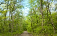 trail