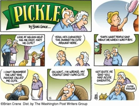 Solve Pickles 720 jigsaw puzzle online with 12 pieces
