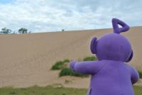 Tinky Winky climbs the dunes