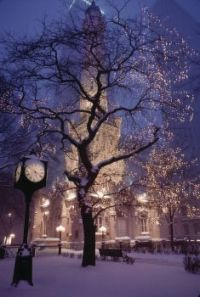 Snow in Chicago