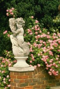 Beautiful climbing roses (I think) with figurine.