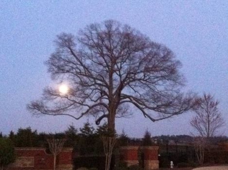 Moonrise over Oak Cemetery