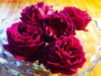 Bowl of Fragrant Roses