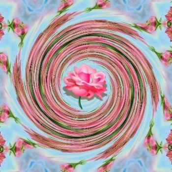 Pink Rose Swirl
