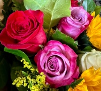 Awesome roses