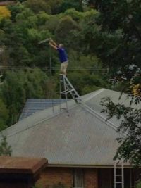 Wife told me the antenna needed adjusting.