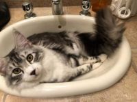 Hmm, excuse me, I'm taking a bath soon!