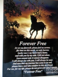 "Forever Free"