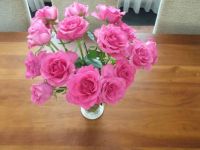 roze roosjes