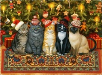 Cozy Christmas Cats