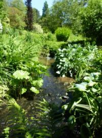 UK. Serie: Marwood Hill Garden - the brook