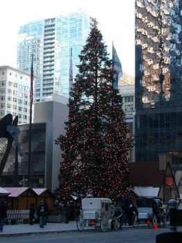 Chicago 2010 December 049