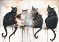Braden Duncan, Four Cats