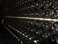 Verona wine cellar