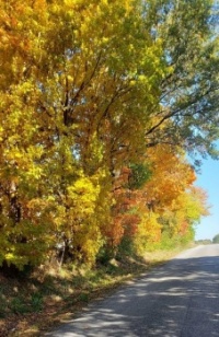Fall in Full Force