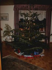 Weihnachtsbaum 1-2002