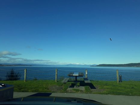Taupo Lake, New Zealand