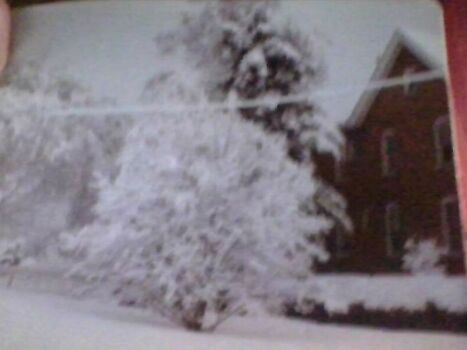 Easter 1979  West side of my brick house