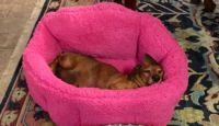 Living the Life