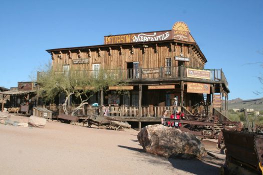 goldfield 011