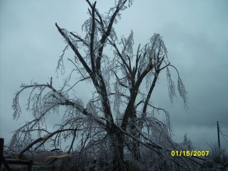 "The Big One"--the Ice Storm of '07