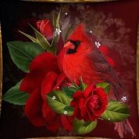 red bird and rose
