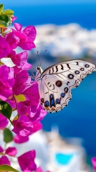 Just beautiful :-)