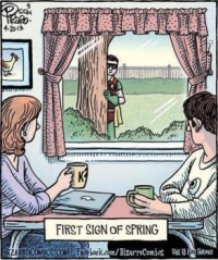 Bizarro