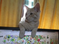 I can help if you'll let me please