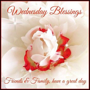 Good morning store wednesday blessings