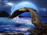EAGLE