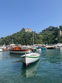 Positano boats