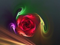 Rosebud